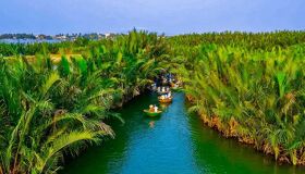 Ben Tre Cocunuts Forest Mekong Delta is waiting for you!